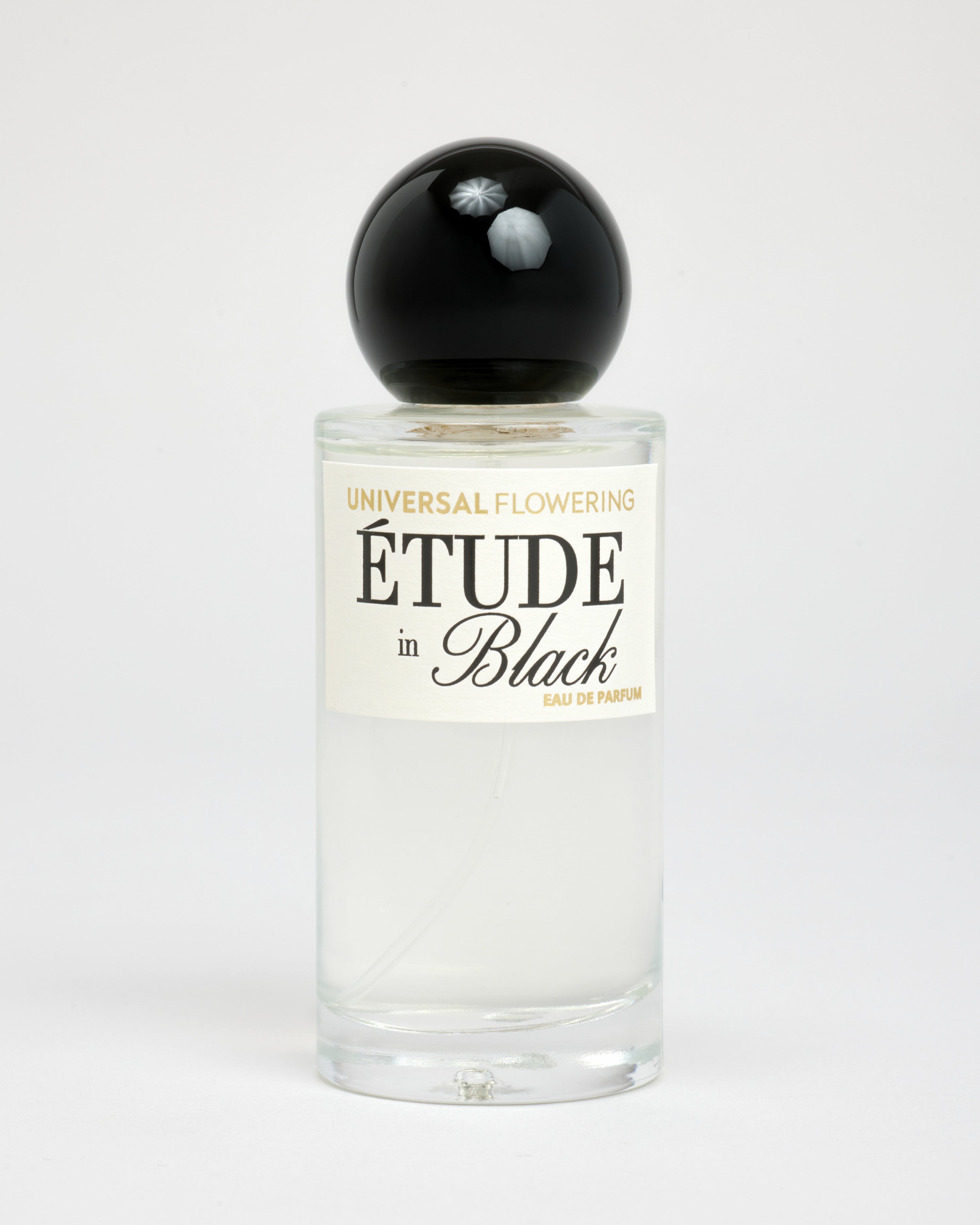 ÉTUDE in BLACK