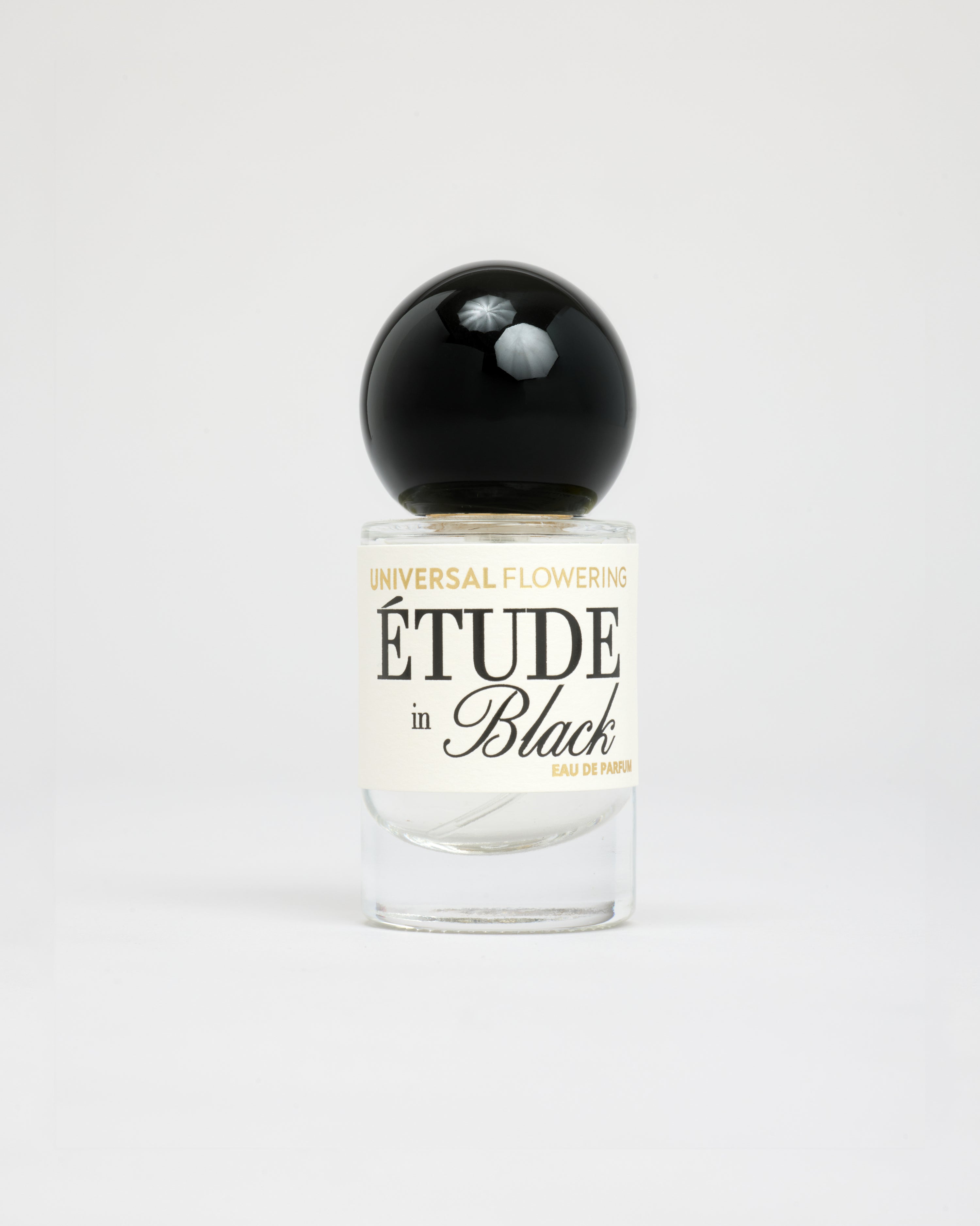 ÉTUDE in BLACK