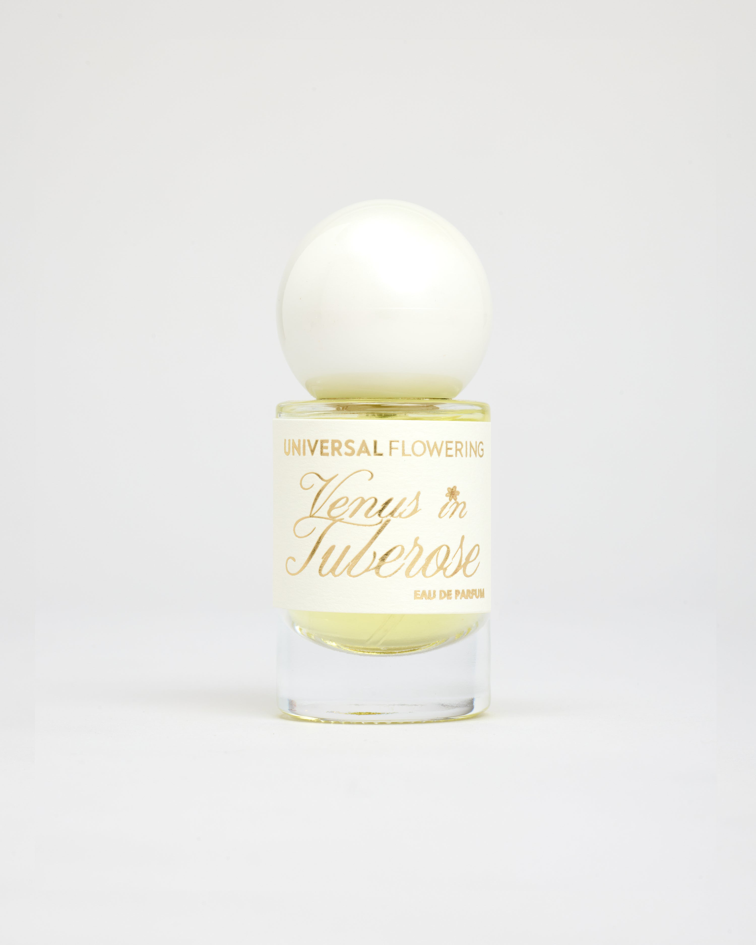 VENUS IN TUBEROSE